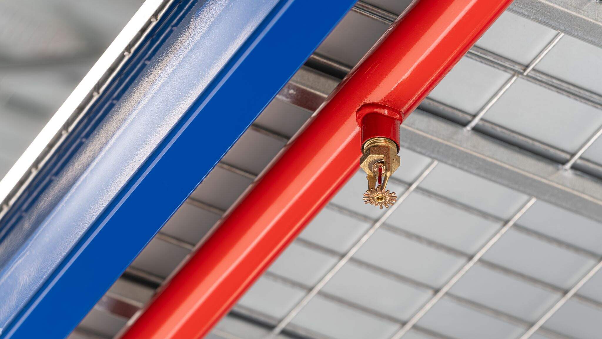 Dachser, bölgede güvenilir bir işveren ve kendini eğitime adamış bir şirket olarak biliniyor.